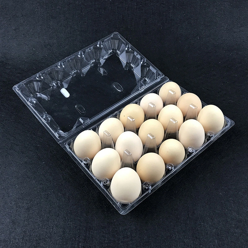 disposable egg cartons