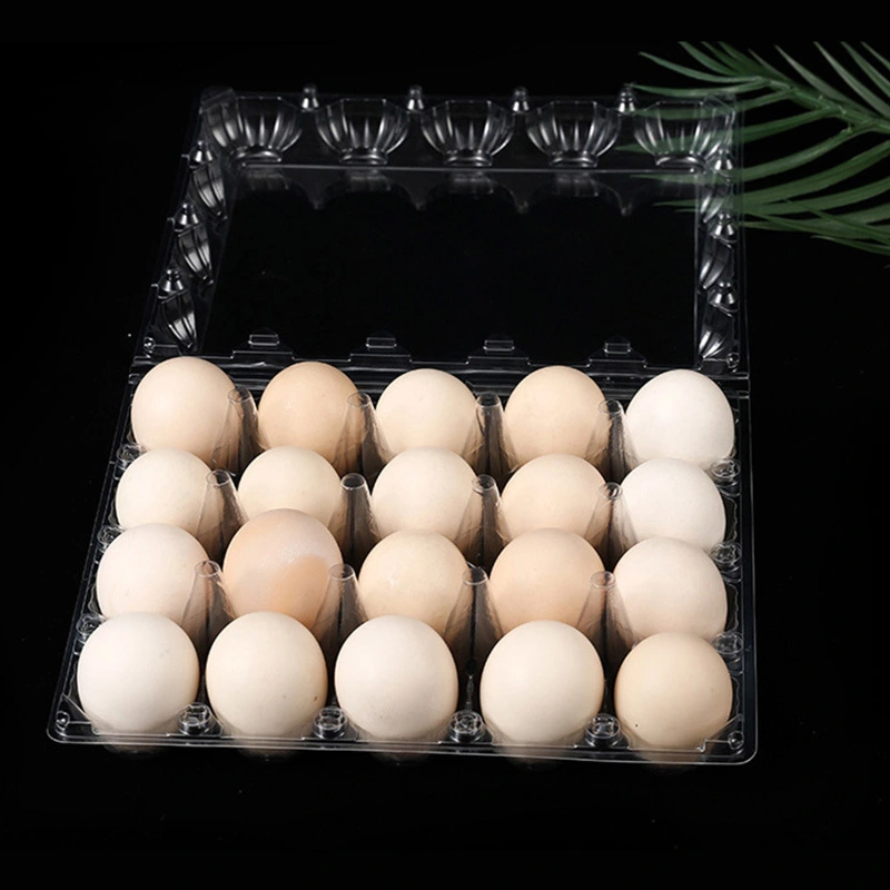 egg packaging box