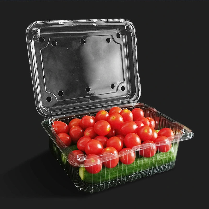 pet plastic box for packing